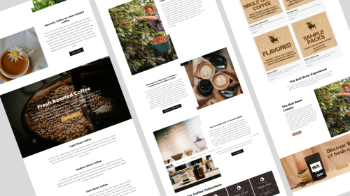 Bull Brew Coffee Website Designs